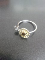 Anillo flor-circone, adaptable